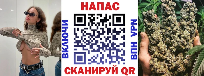 Бошки марихуана сатива Нурлат